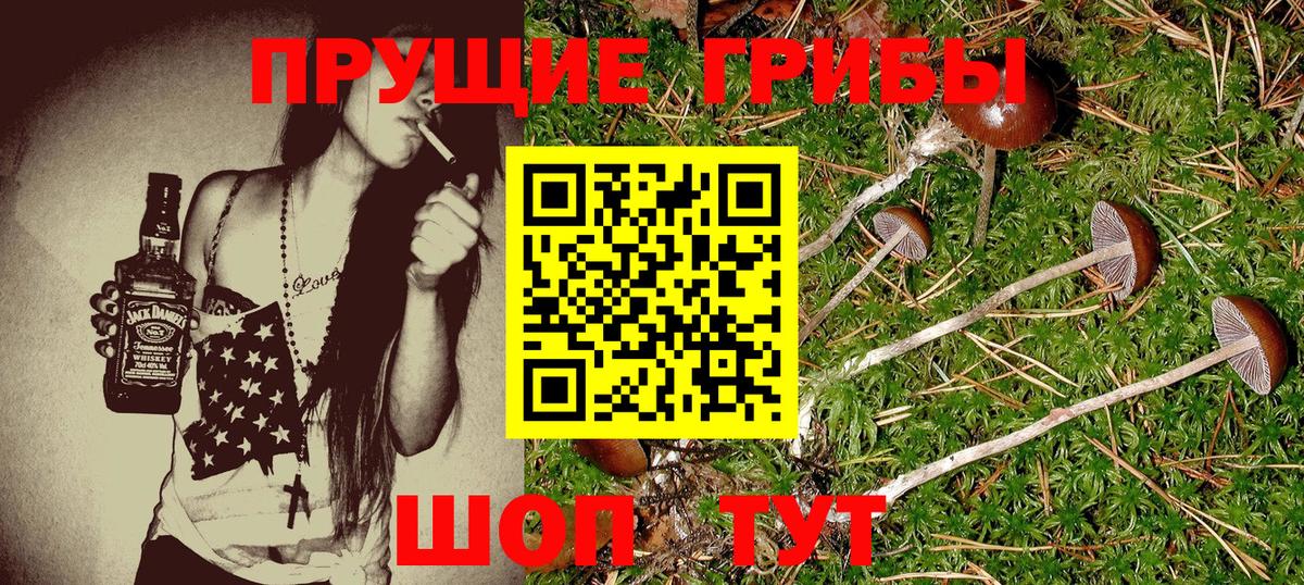 Галлюциногенные грибы Magic Shrooms  Вход с VPN  Тольятти  Галлюциногенные грибы MAGIC MUSHROOMS 